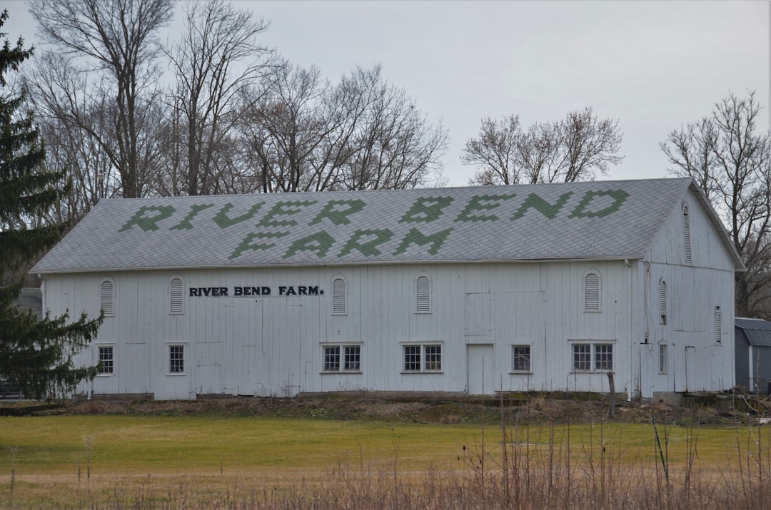 Former Dairy Farm Set to Become Crucial Lowland Peatland Research Hub