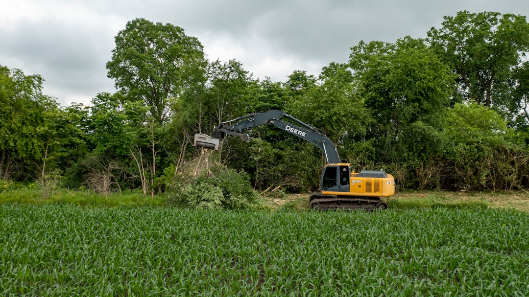 Pioneering Hedgerow Restoration Project Kicks Off, Promising Dual Benefits for Wildlife and Farm Productivity